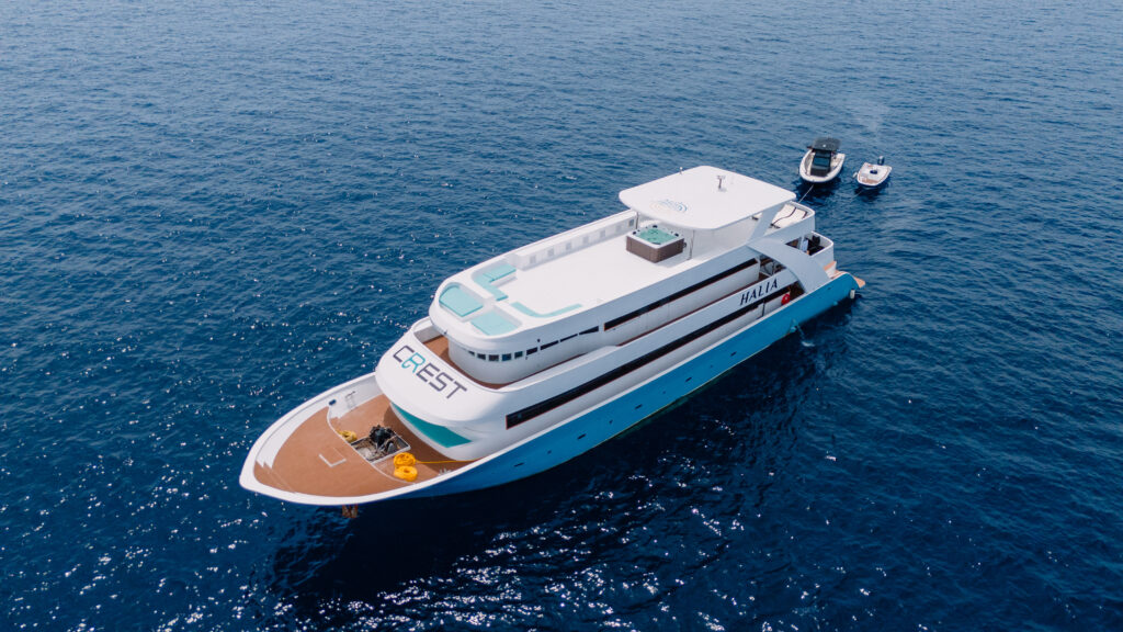 Mv Halim MV Halia – Maldives – Mola Mola by Kathy Hürlimann